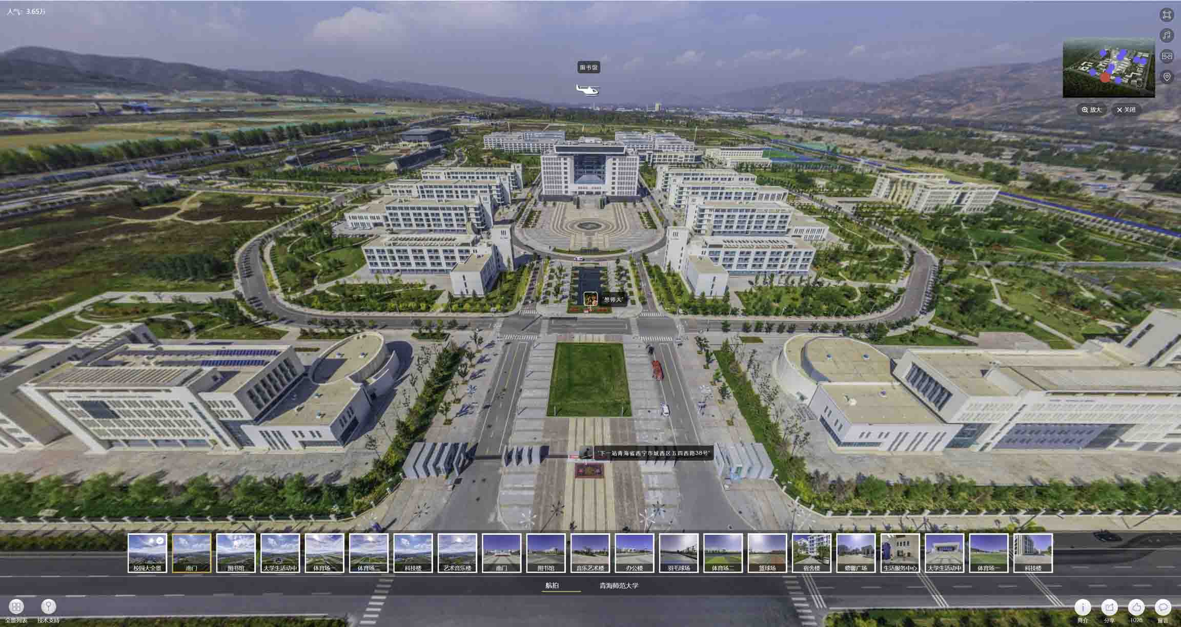 深圳油菜花-惊艳半生的花海仙境